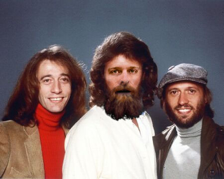 The Dee Bees
